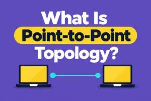 What Is Point-to-Point Topology? Features, Types, Pros & Cons