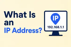 What Is an IP Address? Types, Uses, Examples & More 