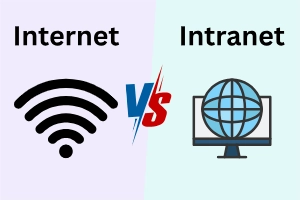 Internet vs. Intranet: Uses, Examples & Differences