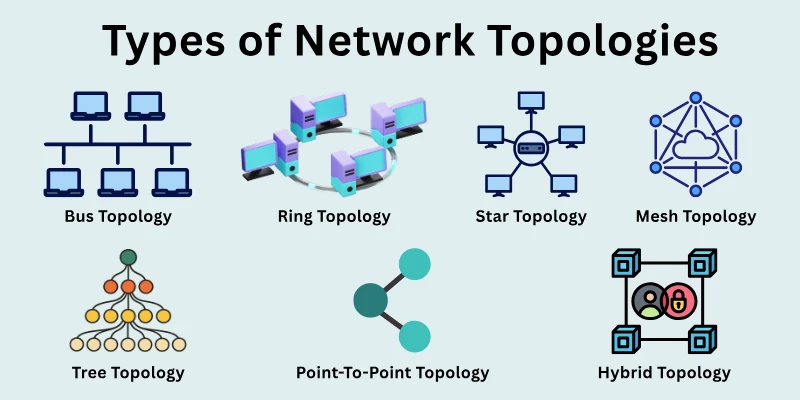 Types of Network Topologies